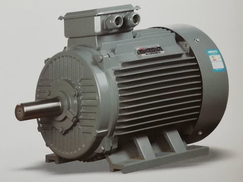 引领绿色未来 YE3超高效率节能电机的技术与应用